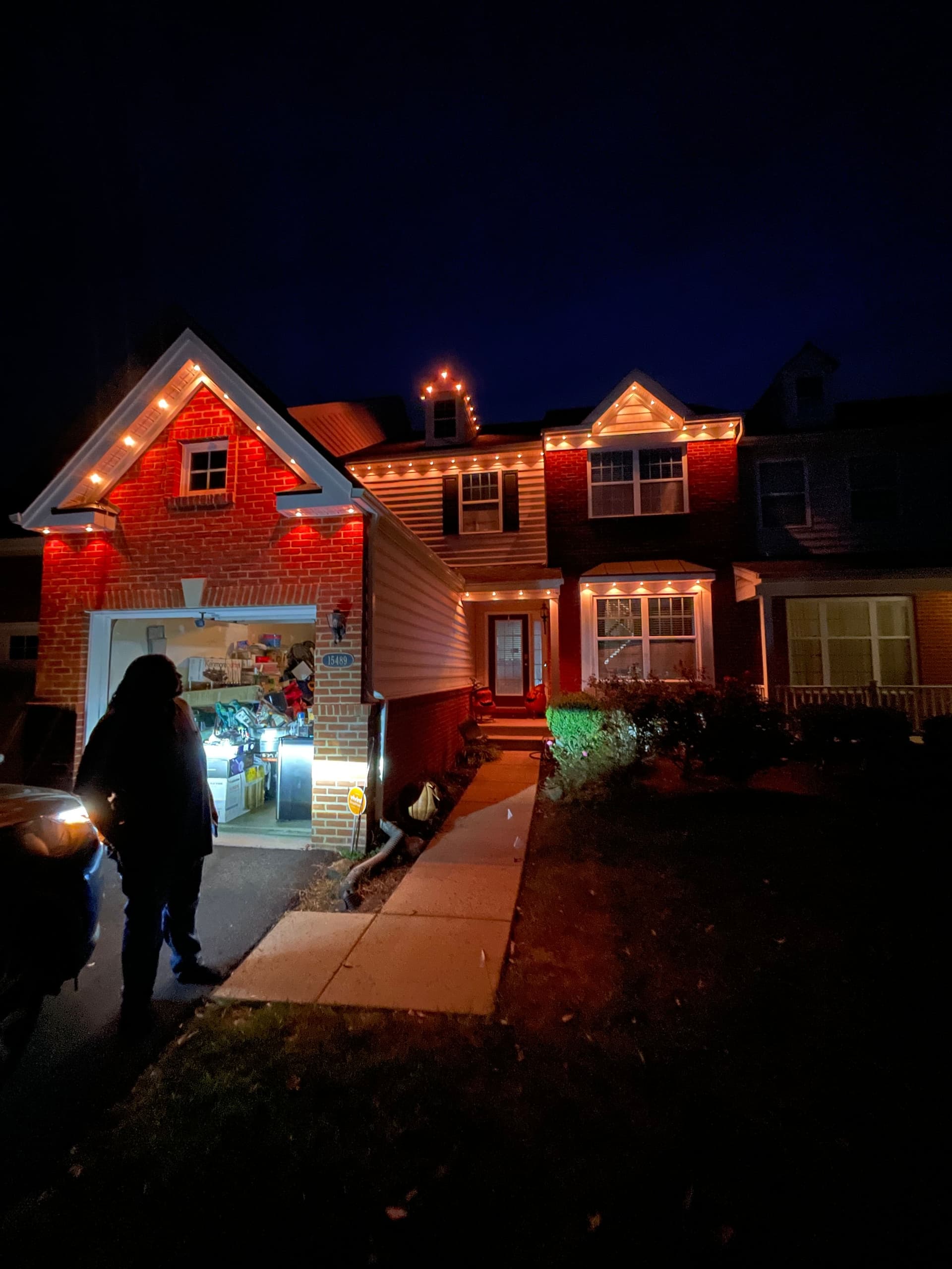 Govee pro lights