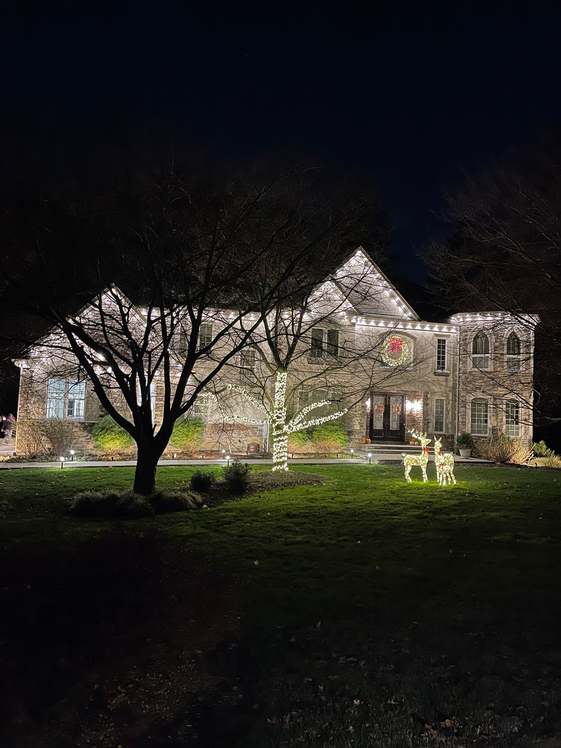 Outdoor lights