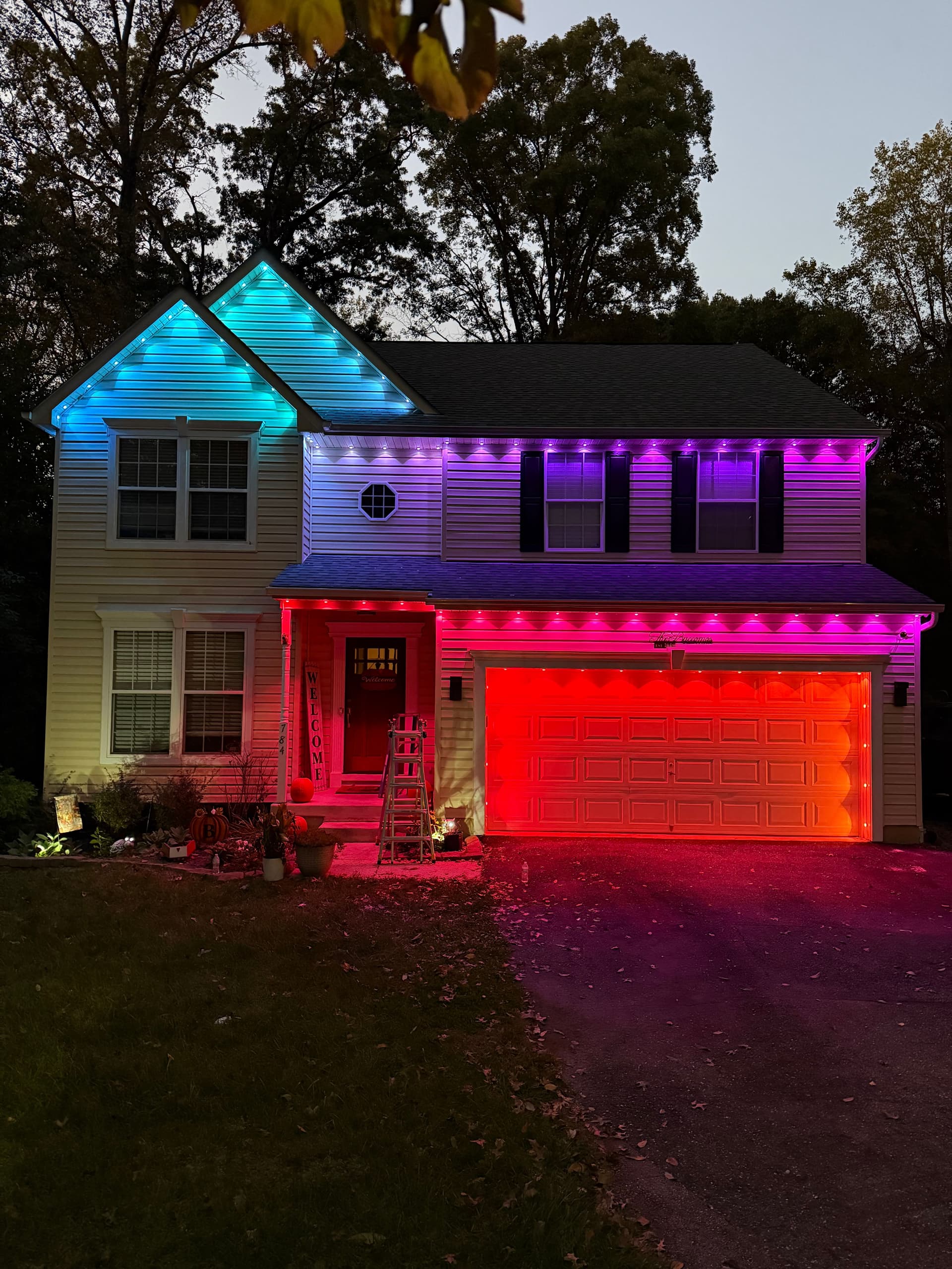 Govee pro installation